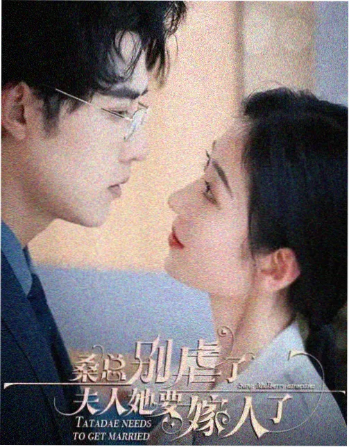 年代家庭剧《南方往事》海报