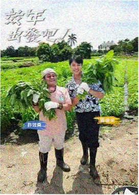 美食科普综艺《厨房实验室》海报